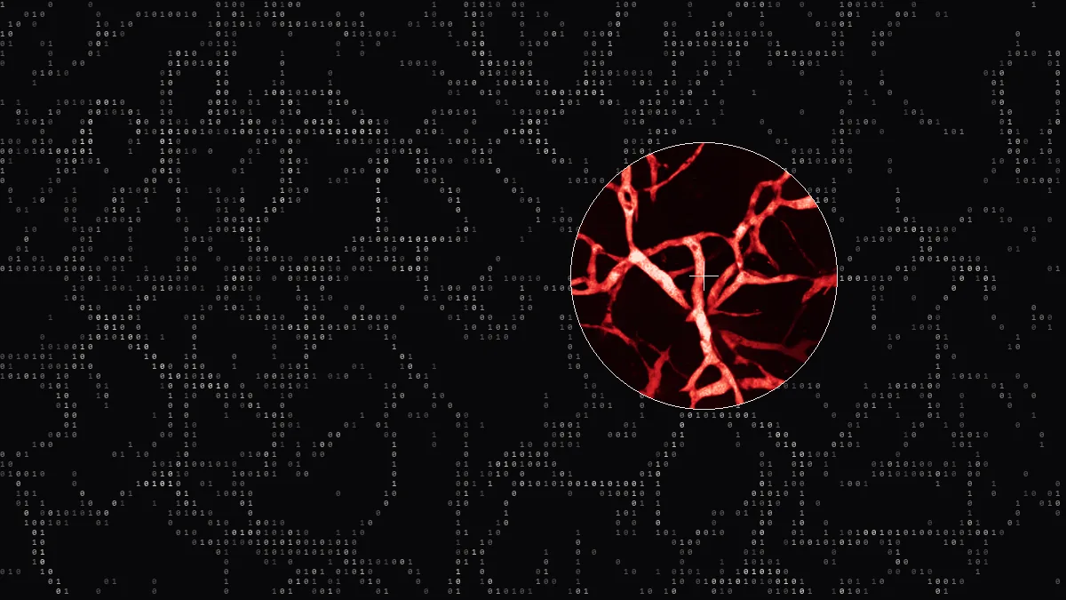 Copertina: immagine scientifica resa in cifre binarie con una lente rossa
